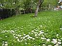 gal/comarnic/TN_comarnic_067.JPG