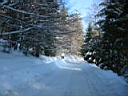 gal/sinaia/munte_1/TN_IMG_1125.JPG