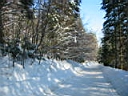 gal/sinaia/munte_1/TN_IMG_1126.JPG