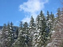 gal/sinaia/munte_1/TN_IMG_1135.JPG