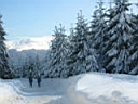 gal/sinaia/munte_1/TN_IMG_1142.JPG