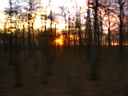 gal/sinaia/munte_1/TN_IMG_1329.JPG